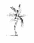 1 Palm by Belgian artist Lieselot Cosijns - Limited edition poster print on high quality drawing paper.