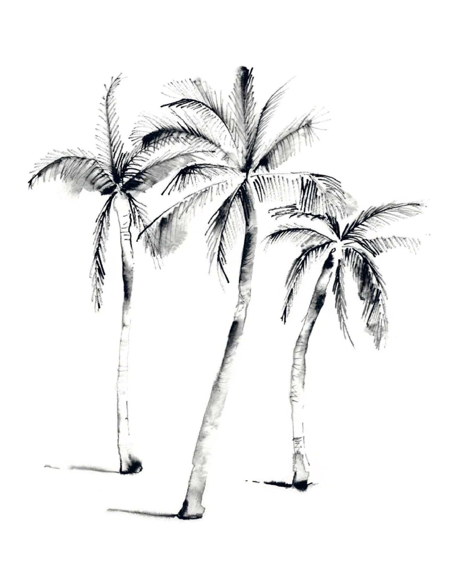 3 Palms by Belgian artist Lieselot Cosijns - Limited edition poster print on high quality drawing paper.