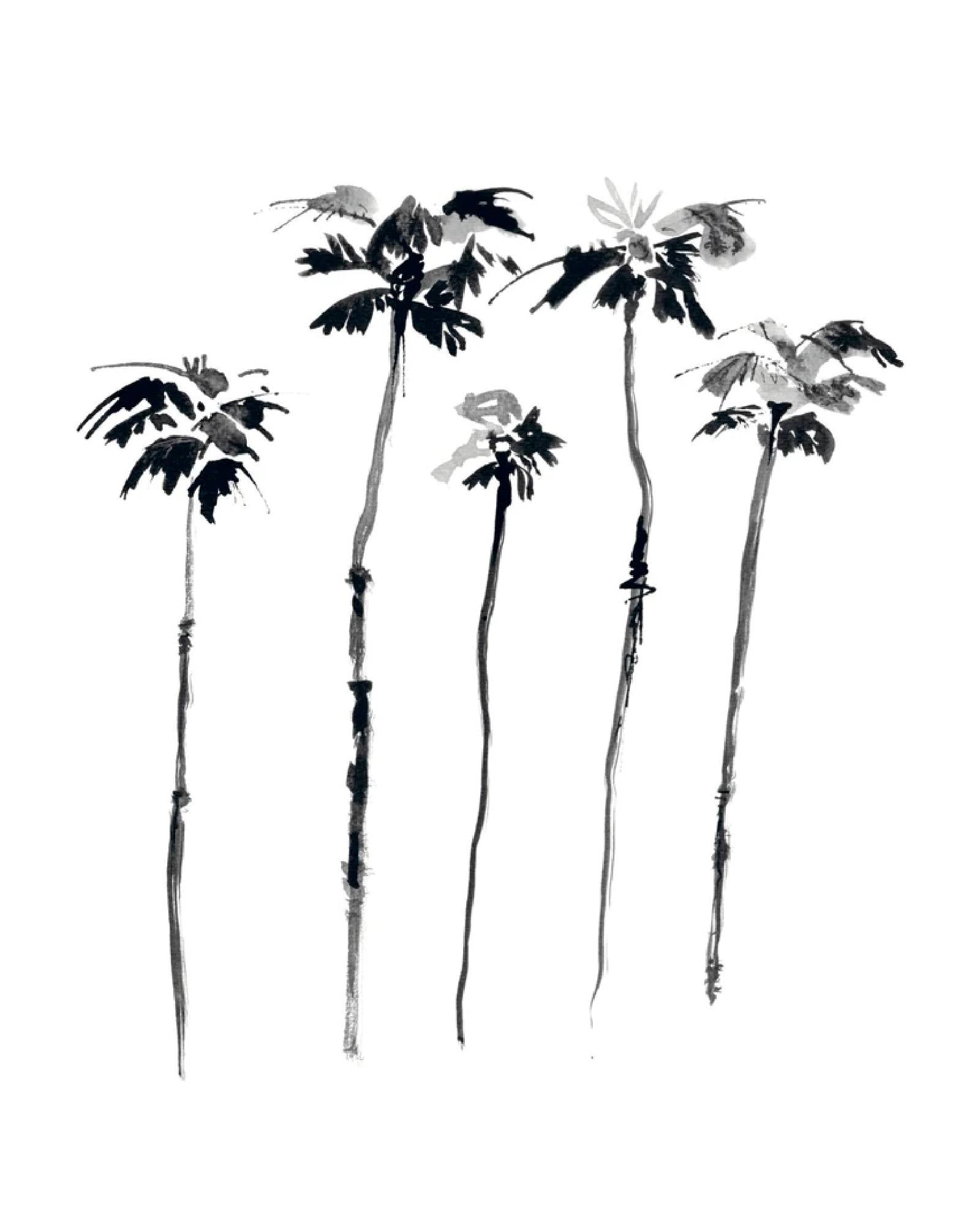 5 Palms by Belgian artist Lieselot Cosijns - Limited edition poster print on high quality drawing paper.