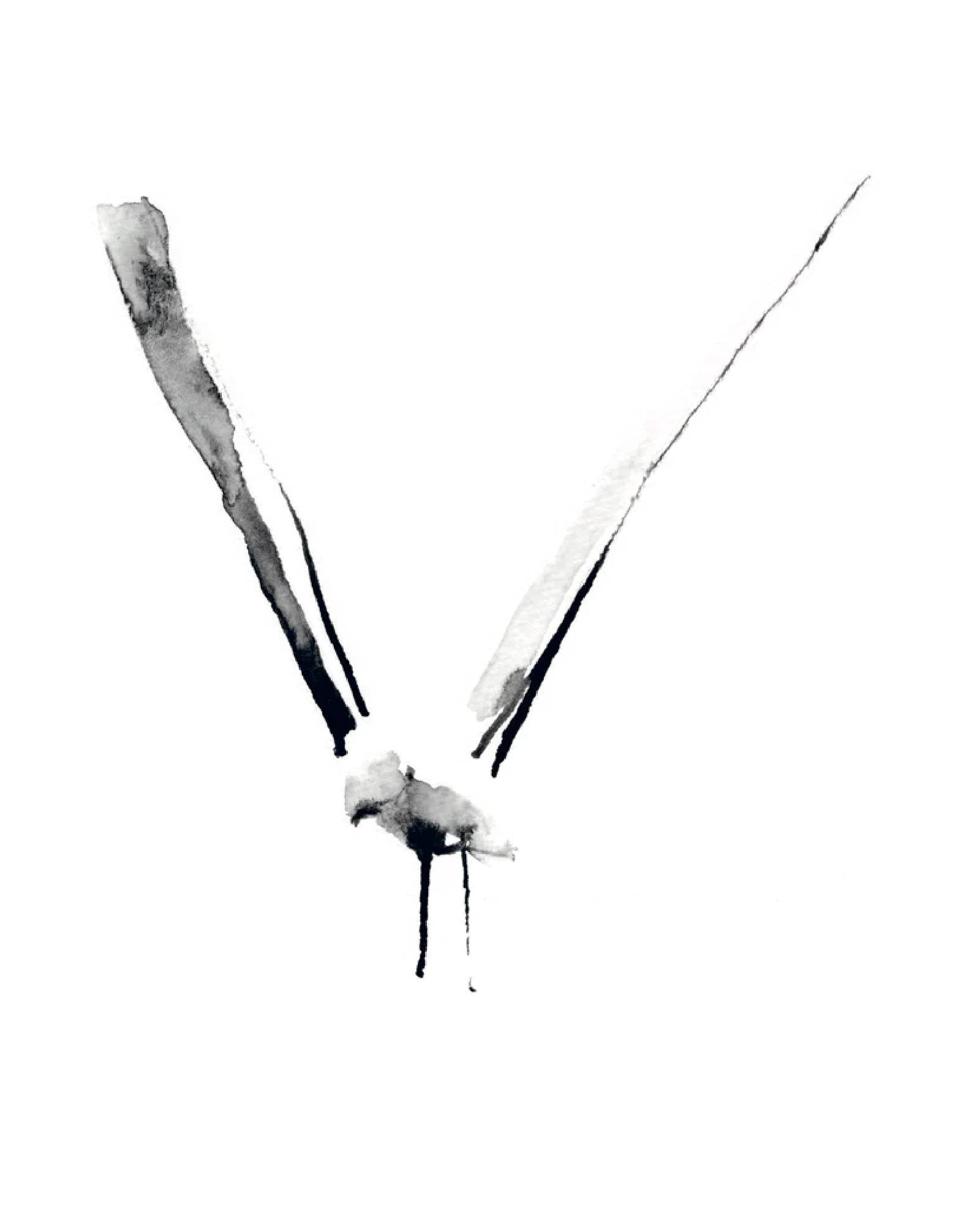 Seagull Freestyle by Belgian artist Lieselot Cosijns - Limited edition poster print on high quality drawing paper.